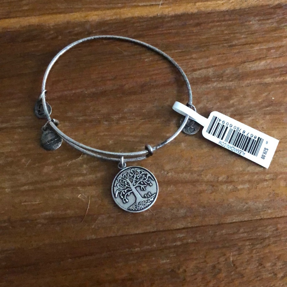 Alex and Ani bracelet